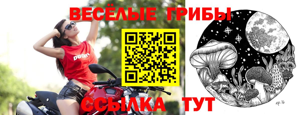 Псилоцибиновые грибы Psilocybine cubensis  Псилоцибиновые грибы ЛСД  Александров  цены наркотик  Вход с VPN 