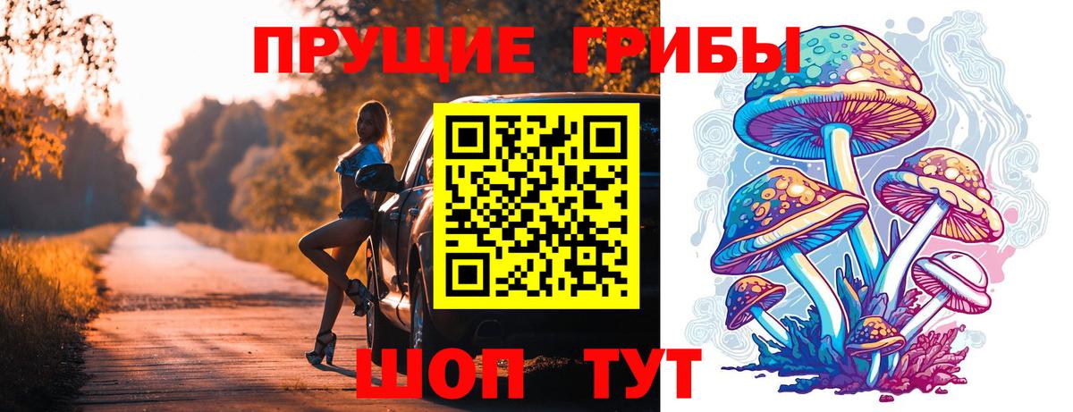Псилоцибиновые грибы мухоморы Александров